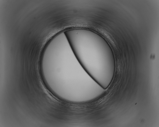 X0000090910677200708271005