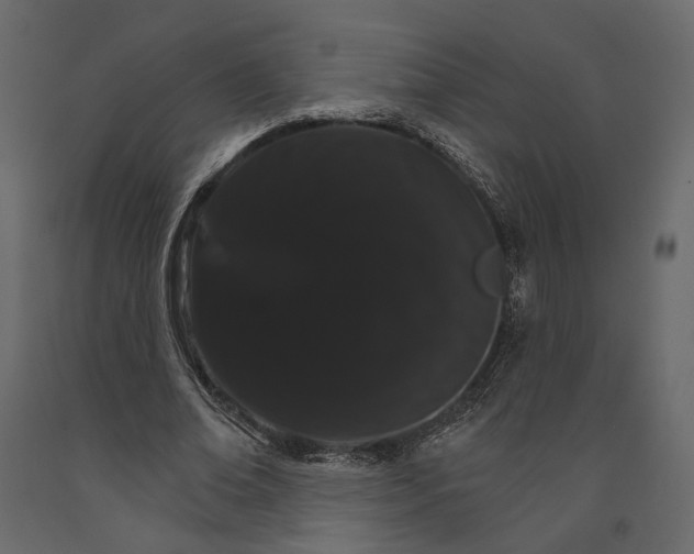 X0000090910678200708271005