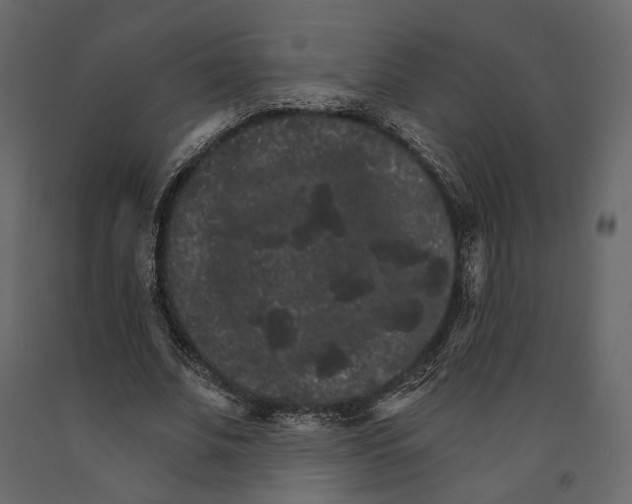 X0000090910679200708271005