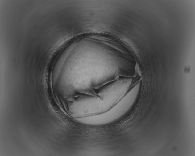 X0000090910680200708271005