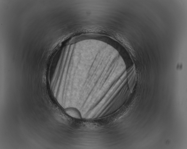 X0000090910681200708271005