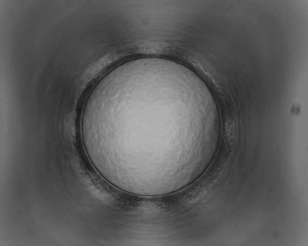 X0000090910682200708271005