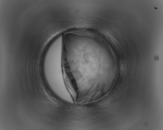 X0000090910684200708271005