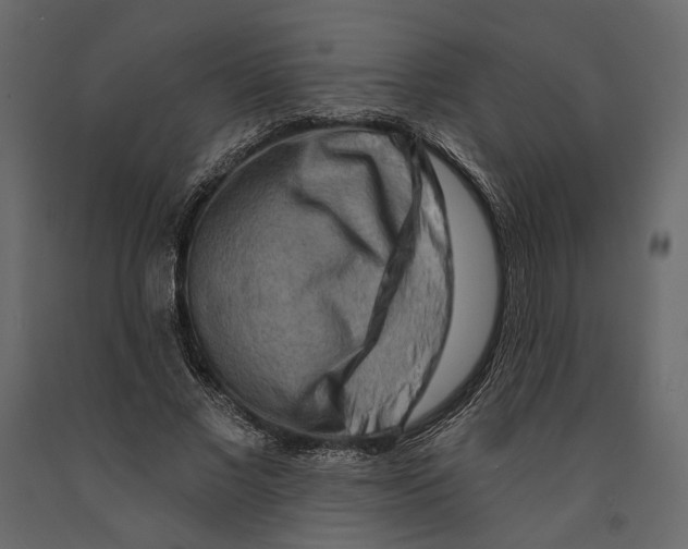 X0000090910685200708271005