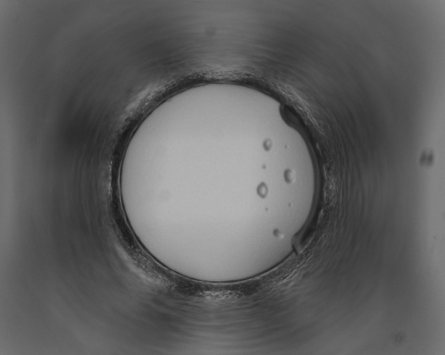 X0000090910686200708271005