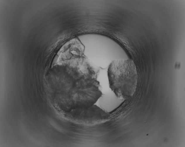 X0000090910687200708271005