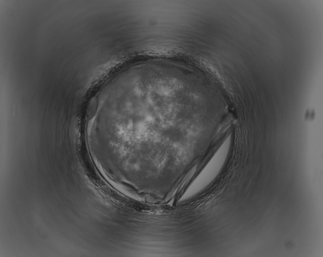 X0000090910688200708271005