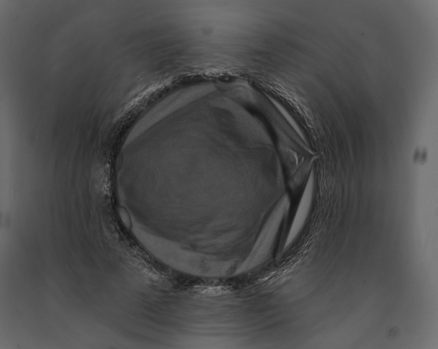 X0000090910689200708271005