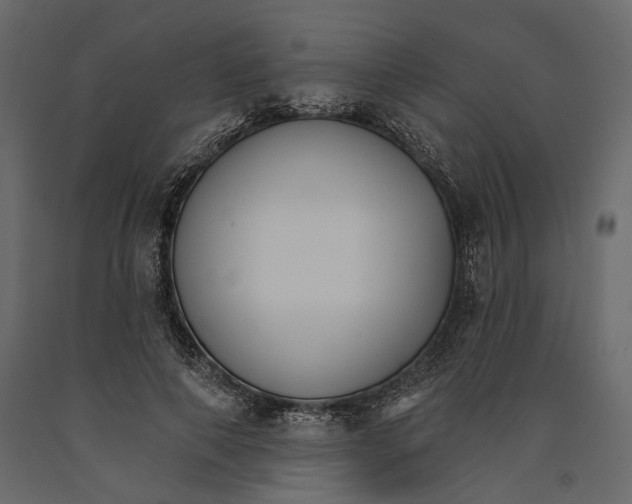 X0000090910690200708271005