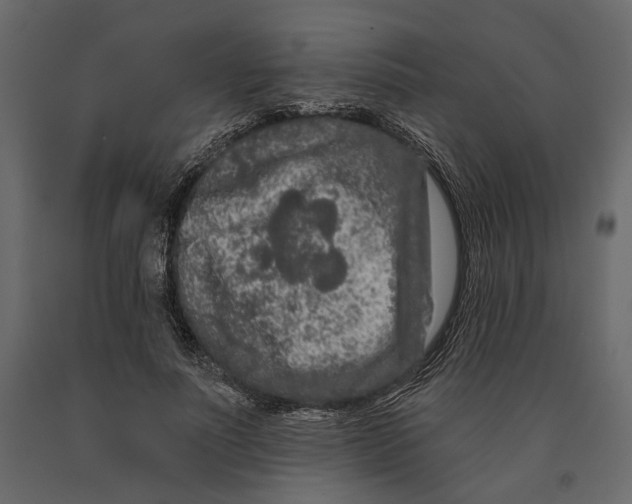 X0000090910691200708271005