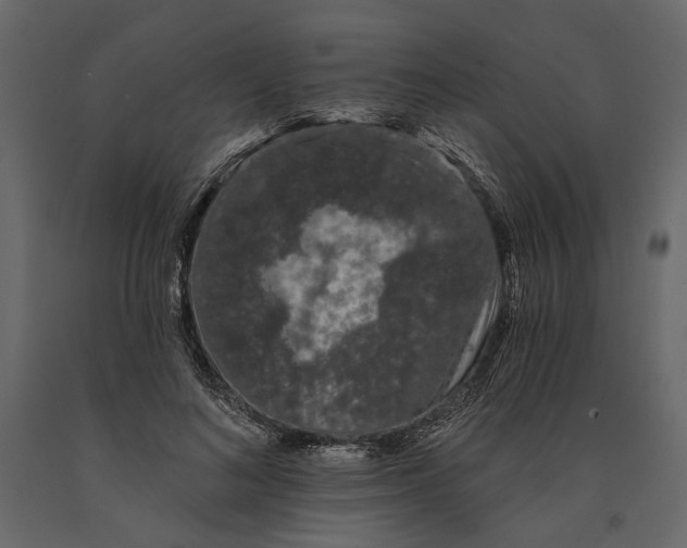 X0000090910692200708271005