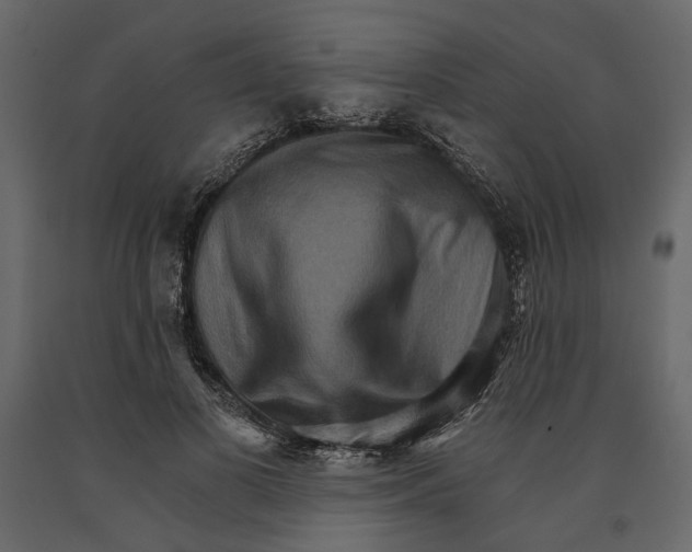 X0000090910693200708271005