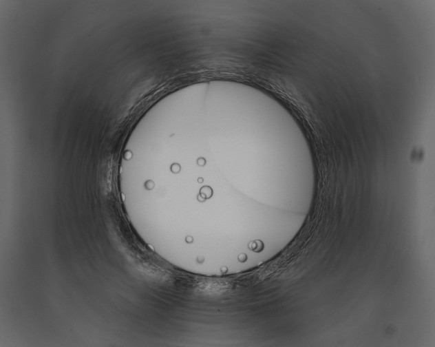 X0000090910694200708271005