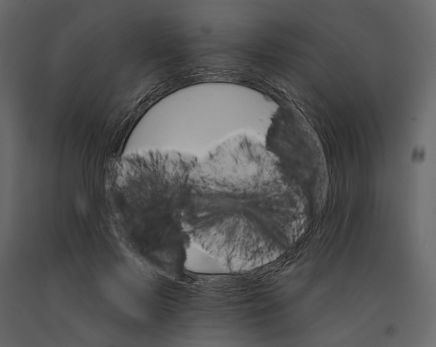 X0000090910695200708271005