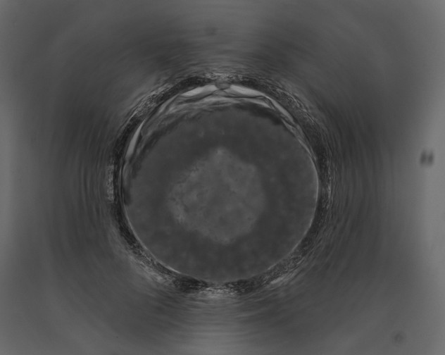 X0000090910696200708271005