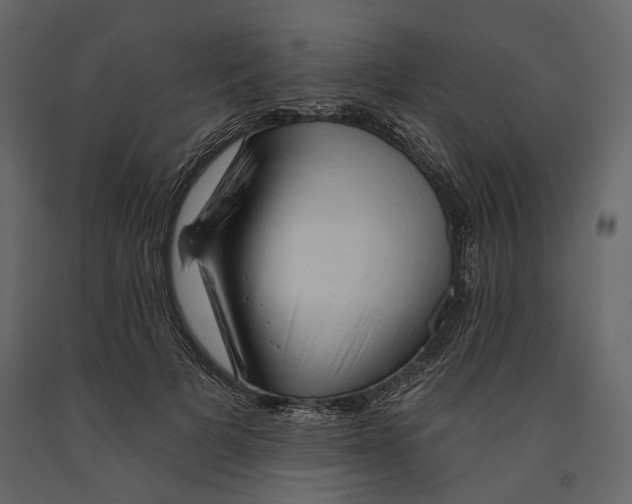 X0000090910697200708271005