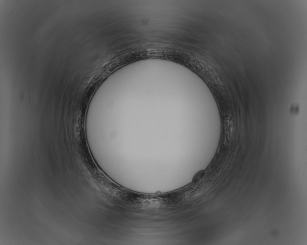 X0000090910698200708271005