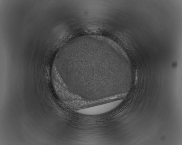 X0000090910699200708271005