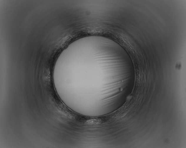 X0000090910700200708271005