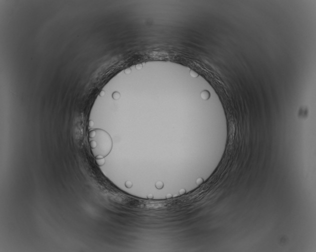 X0000090910702200708271005