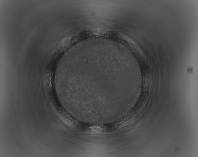 X0000090910703200708271005