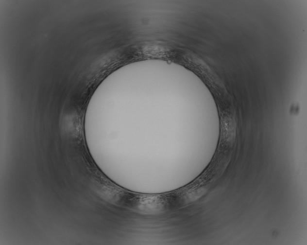 X0000090910705200708271005