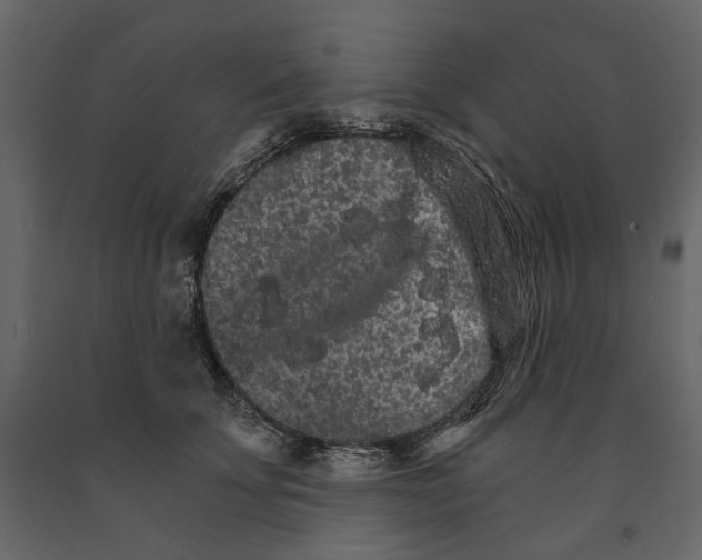 X0000090910707200708271005