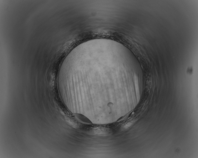 X0000090910708200708271005