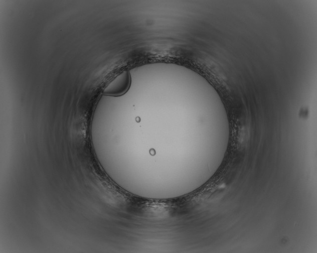 X0000090910710200708271005