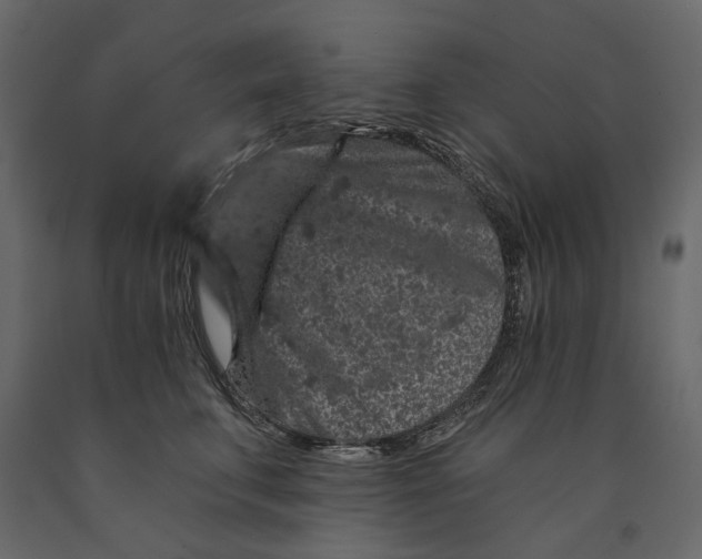 X0000090910711200708271005