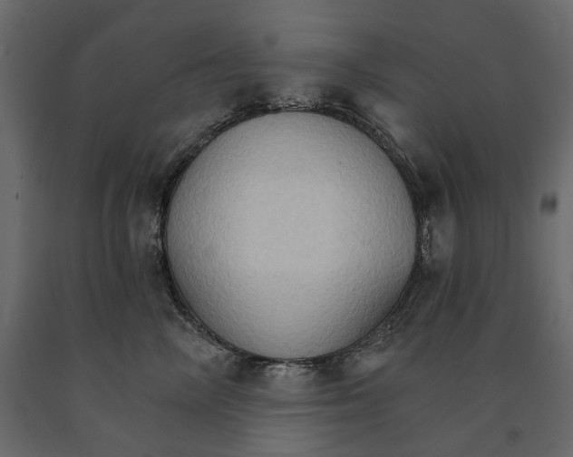 X0000090910714200708271004