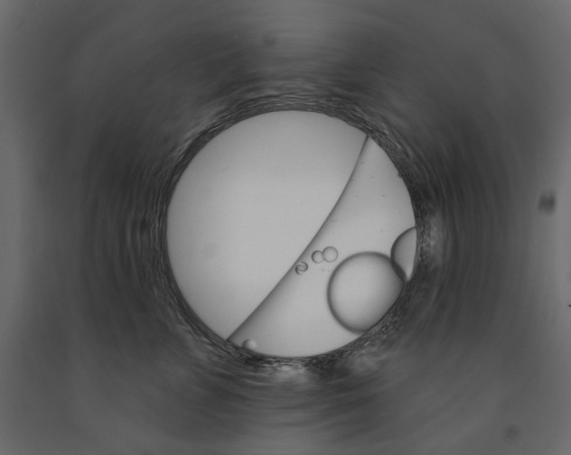 X0000090910715200708271004