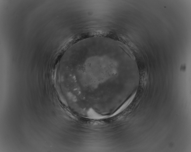 X0000090910716200708271004