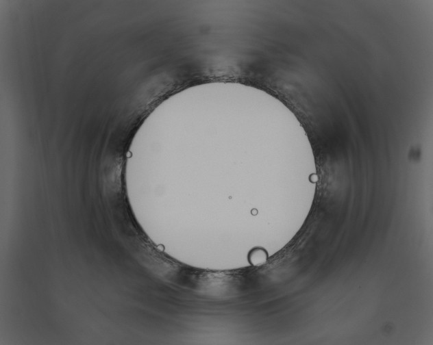 X0000090910717200708271004