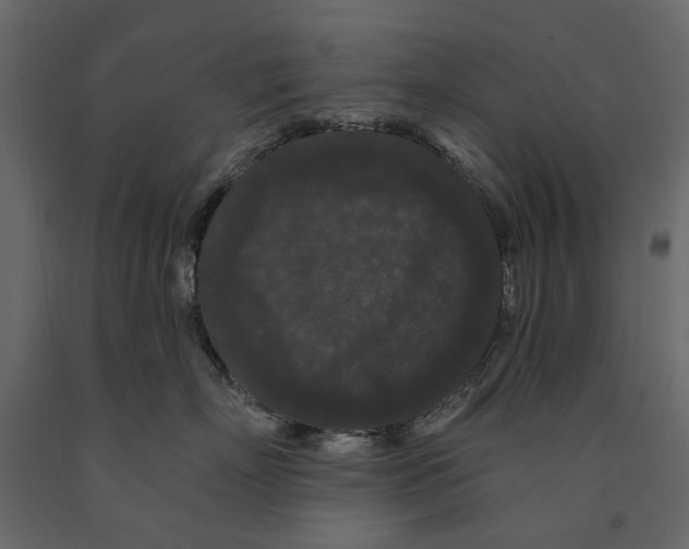 X0000090910718200708271004