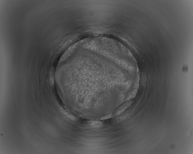 X0000090910719200708271004