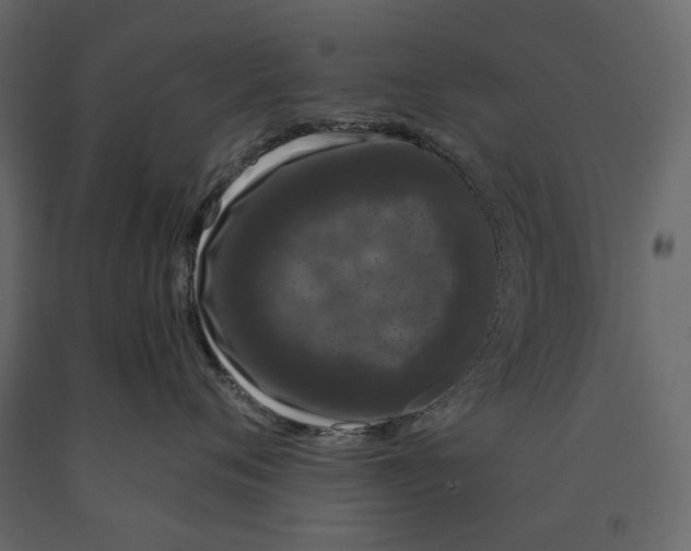 X0000090910720200708271004