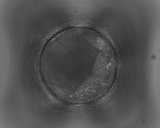 X0000090910721200708271004