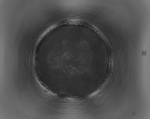 X0000090910722200708271004