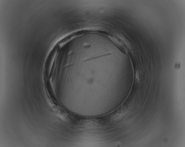 X0000090910724200708271004