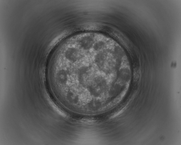 X0000090910725200708271004