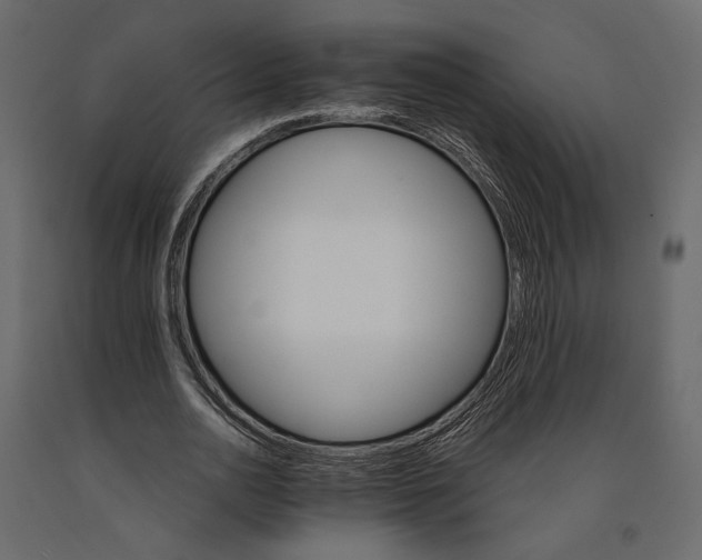 X0000090910726200708271004