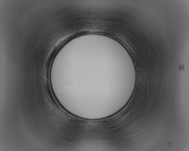 X0000090910727200708271004