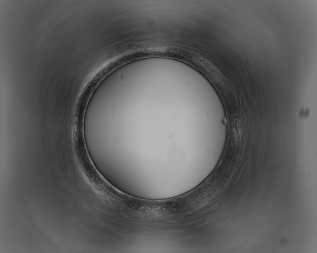 X0000090910728200708271004