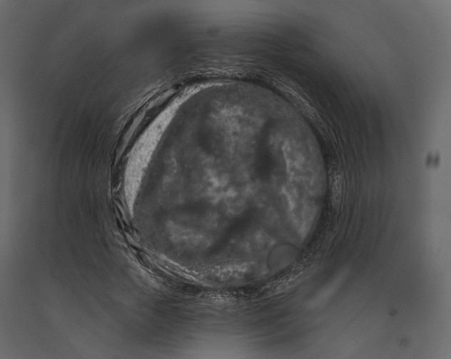 X0000090910729200708271004