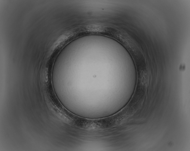 X0000090910731200708271004