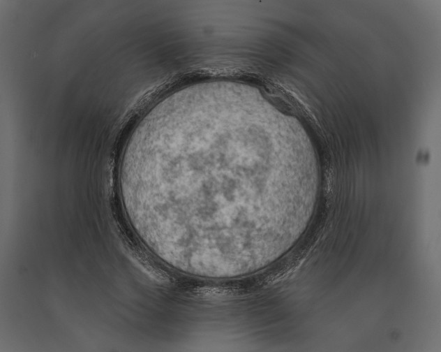 X0000090910733200708271004