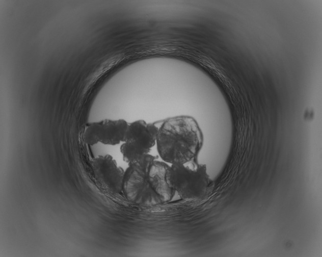 X0000090910734200708271004