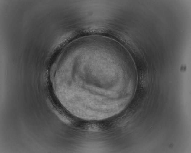 X0000090910735200708271004