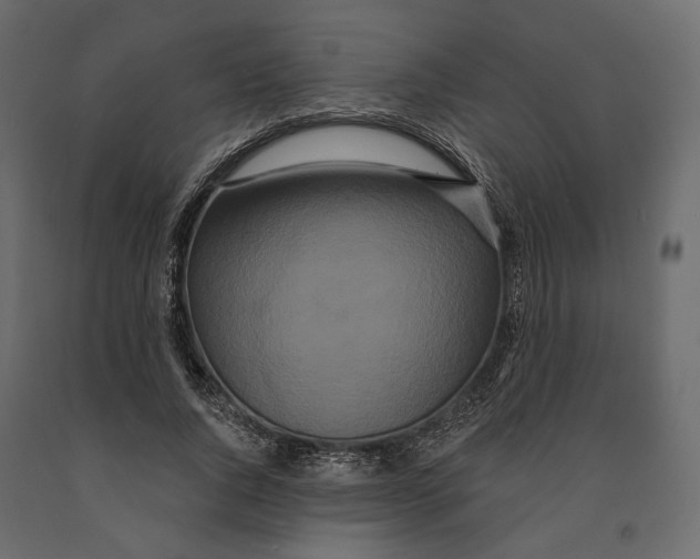 X0000090910736200708271004